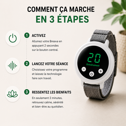 BREAVA RESET